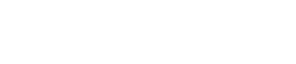 Next Executive logo