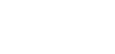 Tigerlily logo